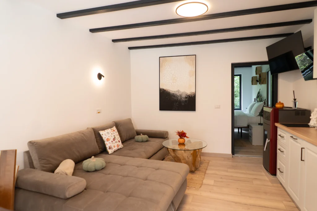 Living cabană din pădure cu pardoseală de lemn - hotel design premium România